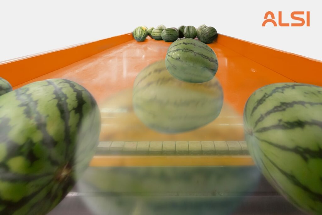 Equipos para clasificación de frutas y hortalizas ALSI