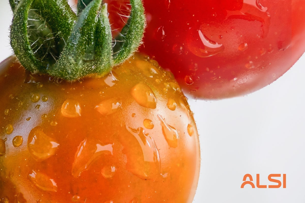 Tendencias en el consumo de frutas y verduras _ ALSI