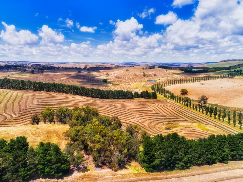 desafíos del sector agroalimentario