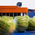 sistema de producción de alimentos con ALSI